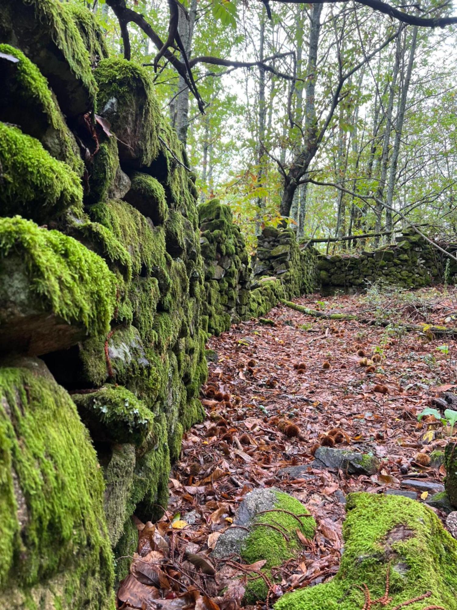 Hoyos Terracea 빌라 외부 사진